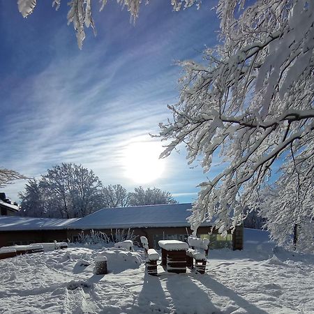 Plitvice Green Apartment พลิตวิชกา เยเซรา ภายนอก รูปภาพ